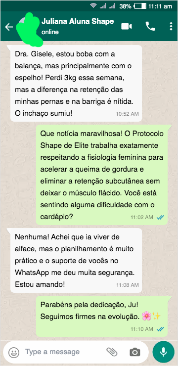 whatsapp_chat - cópia